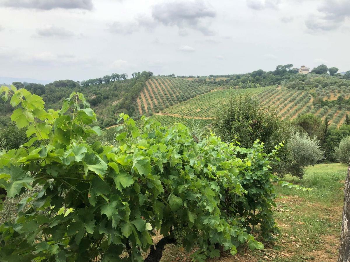 La Valle Di Anna Lastra a Signa Exterior foto
